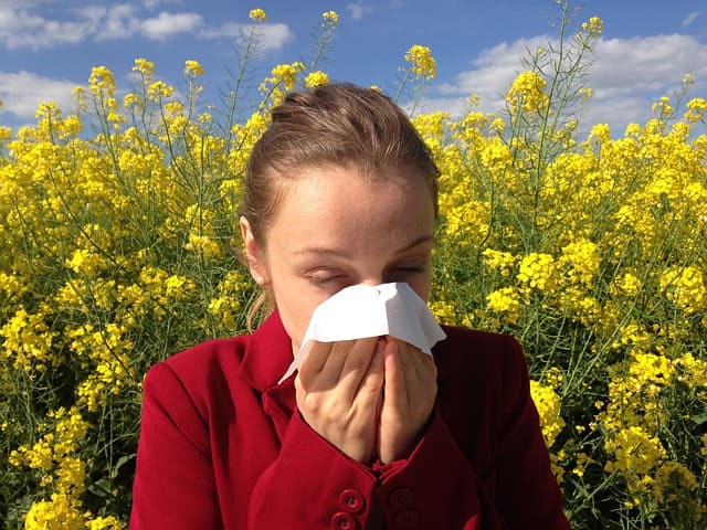 qué son las alergias