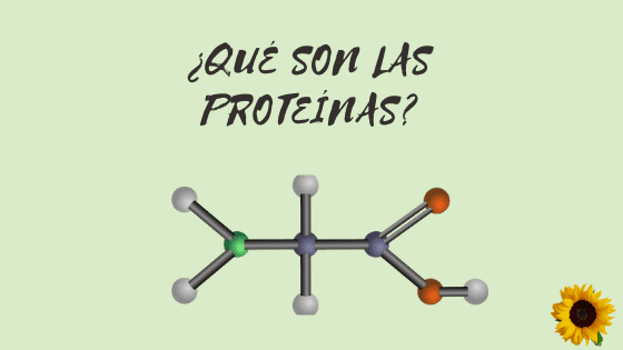 qué son las proteínas