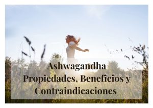 Ashwagandha propiedades beneficios contraindicaciones